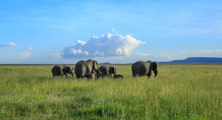 Tanzania